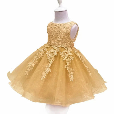 Baby Girl Dress 2024 New Summer Baby Lace Party Girl Birthday Dress Wedding Christmas Dress children's wear - Tiny Treasure Boutik