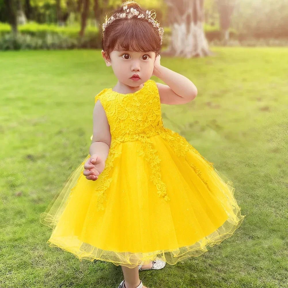 Baby Girl Dress 2024 New Summer Baby Lace Party Girl Birthday Dress Wedding Christmas Dress children's wear - Tiny Treasure Boutik