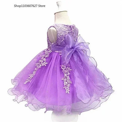 Baby Girl Dress 2024 New Summer Baby Lace Party Girl Birthday Dress Wedding Christmas Dress children's wear - Tiny Treasure Boutik